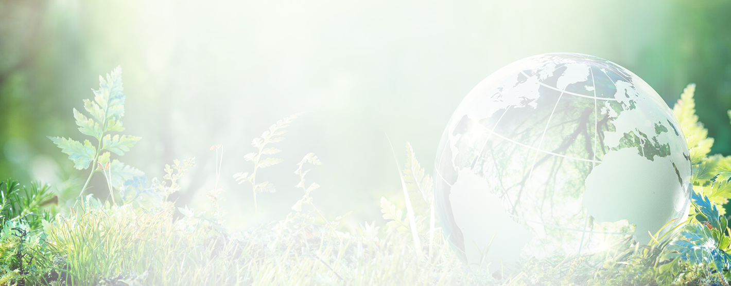 #slidecaption2 Read More